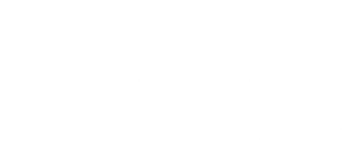 Logo NPC GAMER